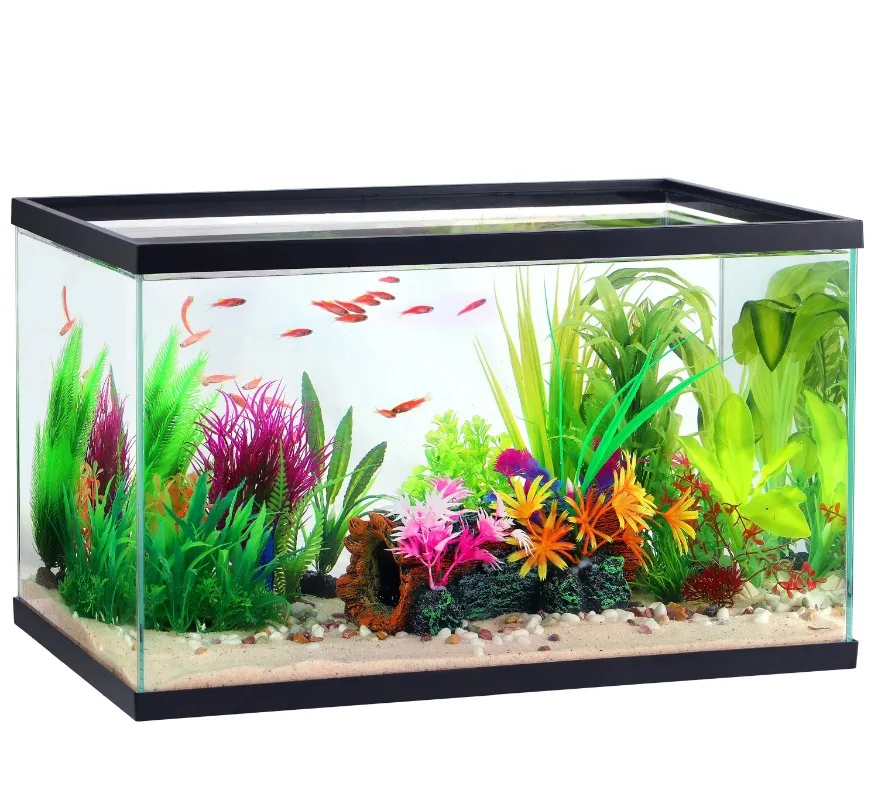 

10 Gallon Transparent Glass Tank