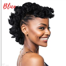 Blice Synthetic High Puff Afro Kinky Curly Short Middle-Part Wig Clips in Hairpiece Hair Extensions Ntural Black Chignon Wig