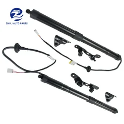 68920-09010 68920-09080 1Pair Rear Tailgate Power Lift Support Left & Right For Toyota RAV4 2013-2018 68920-49055 68910-49055