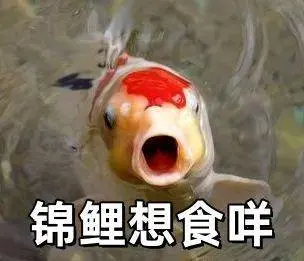 

Чехол на руль автомобиля MG 4, тонкий и легкий из углеродного волокна, прочный, нескользящий, подходит для салона автомобиля, чехол на руль