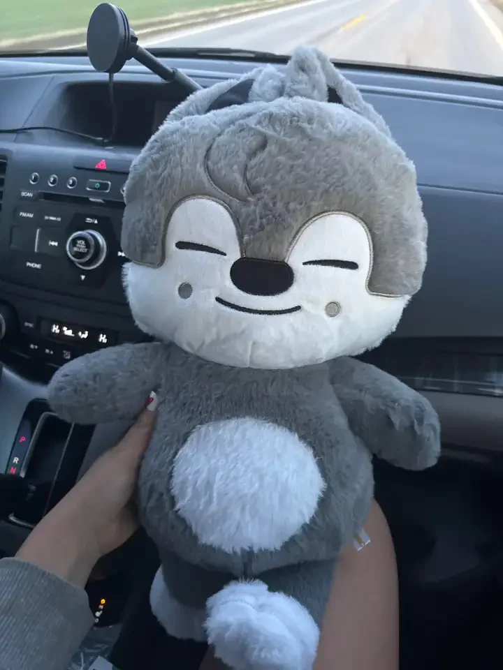 

50 см большая плюшевая игрушка Skzoo Karma, фанаты, животные, мягкая плюшевая кукла Kawaii-компаньон для детей, взрослых, фанатов, подарок, декор комнаты, подарок