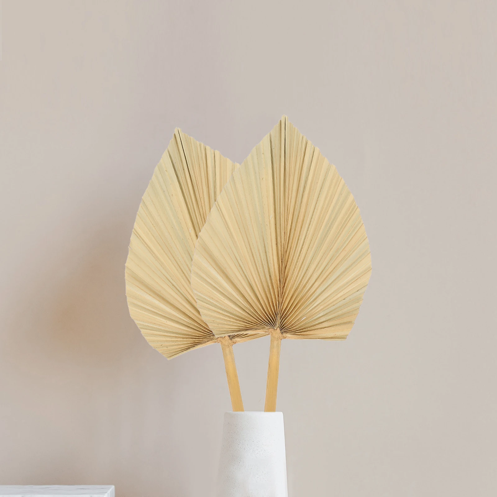 

3pcs Dried Palm Leaf Decor For Wedding Party Holiday Home Wall Art Decoration Scene Layout Prop Dried Leaf Ornament