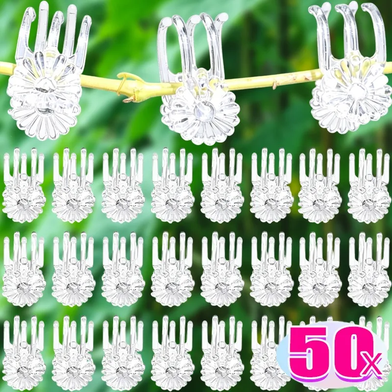 30/50 Stück Orchideen-Pflanzenstützclips Gartenranken-Befestigungswerkzeug für Kletterpflanzen Tomaten-Rankgitter Wiederverwendbarer Kunststoff-Stielhalter
