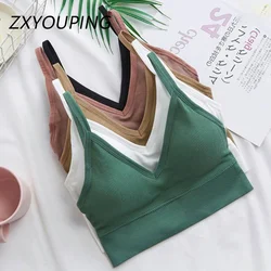 Sexy Sports V-neck Top Yoga Women's seamless sports bra Female sexy Underwear Beauty-Back Sports Bra with Removable CushionsC