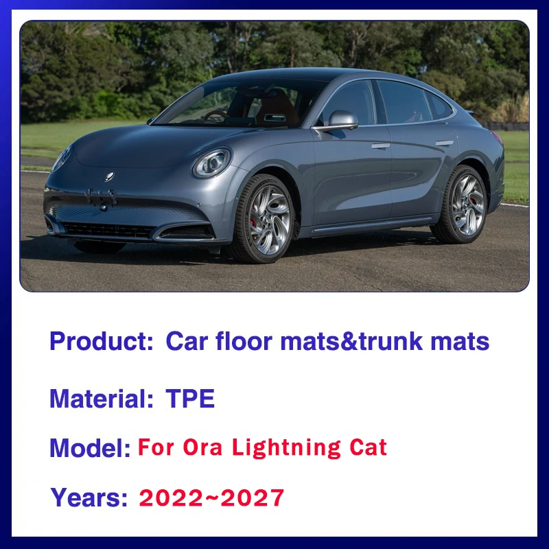 Car Floor Mats For Ora Lightning Cat GWM Ora 07 2022-2027 Dirt-resistant LHD Pads Foot Carpet Floor Covers Auto Accessories