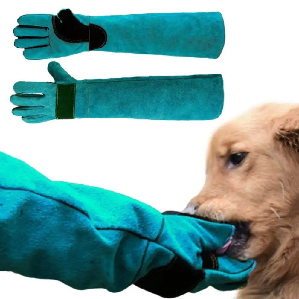 1 pair Anti-Scratch Anti-Scratch Protective Gloves Bite-resistant Wear-resistant Pet Handling Gloves Green Leather