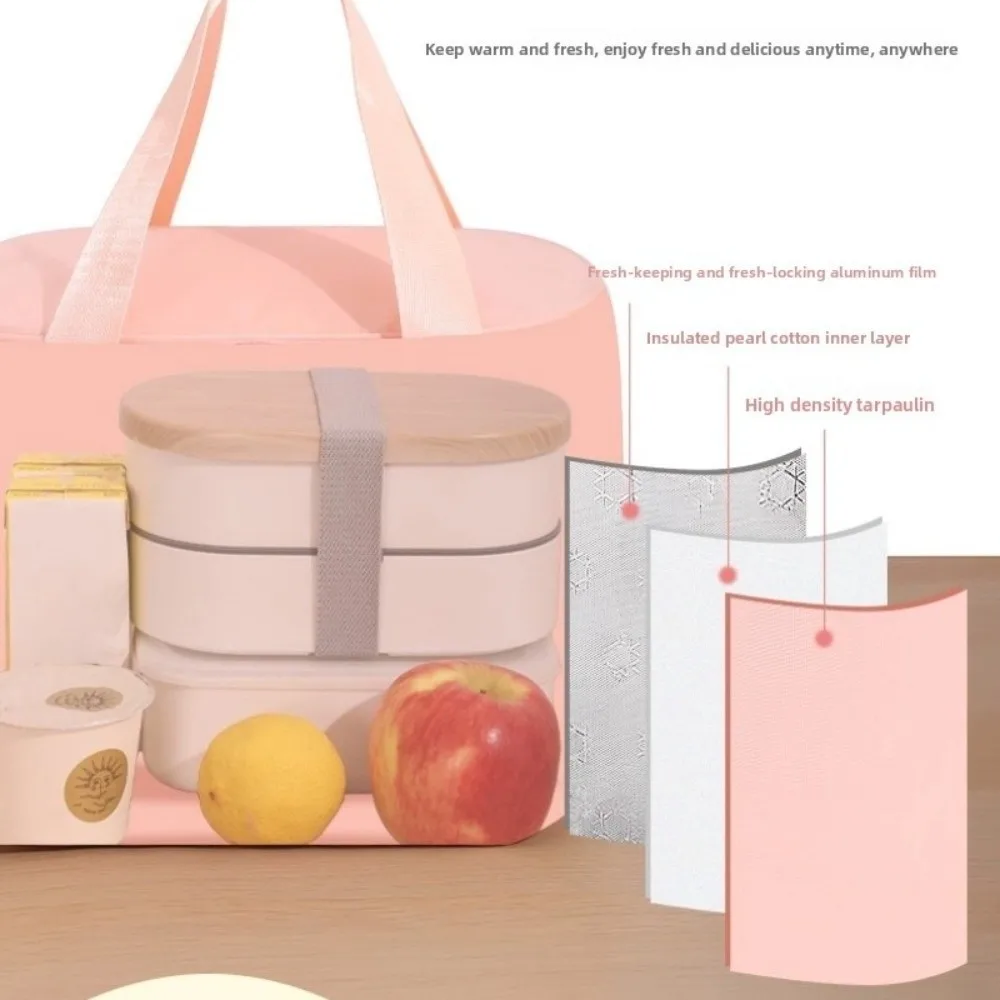 

Simple Cute Insulated Thermal Bag Office Worker Waterproof Cartoon Lunch Bag Student Large Capacity Picnic Handbag Men Women