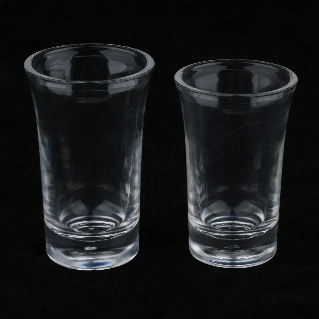 High Temperature Resistant Acrylic Whiskey Glass Unbreakable Water Cup for Thermal Mug Lovers