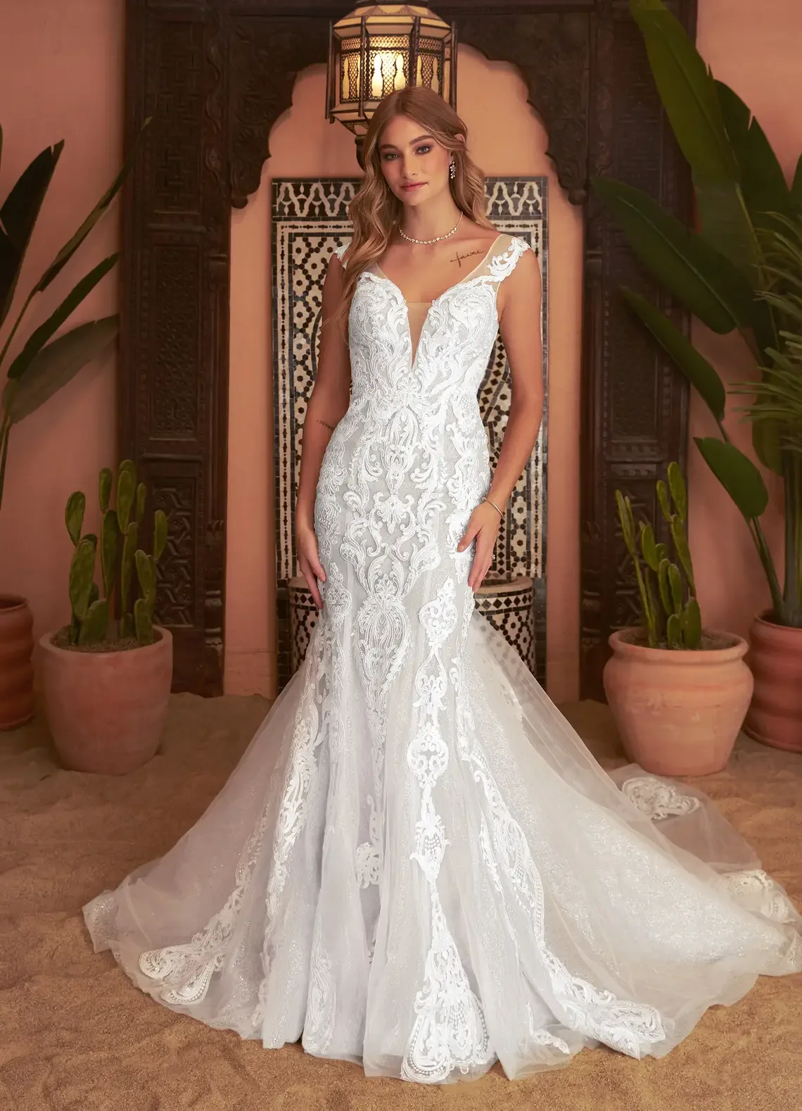 Customized 2025 Women's White Fishtail Bride Wedding Dress Deep V-Neck Sleeveless Lace Decal Backless Elegant And Sexy