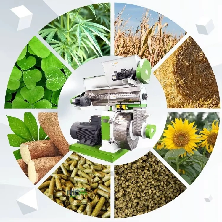 hot Professional Customized Cassava Leaf Hemp Alfalfa Grass Pelletizer with Ce Certified