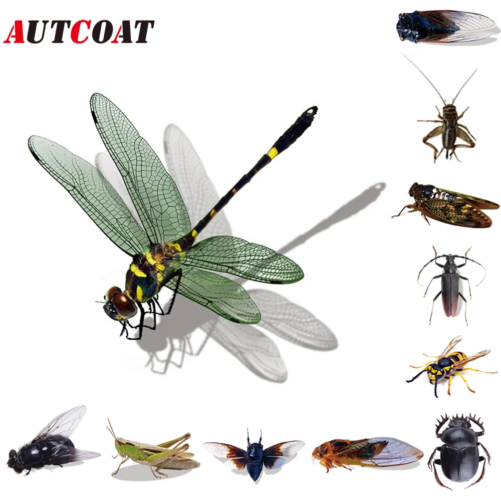 AUTCOAT 1Pcs Creative Car Sticker Motorcycle Decoration Cool Insects Flys Cricket Dragonfly Bee Automobiles Accessories