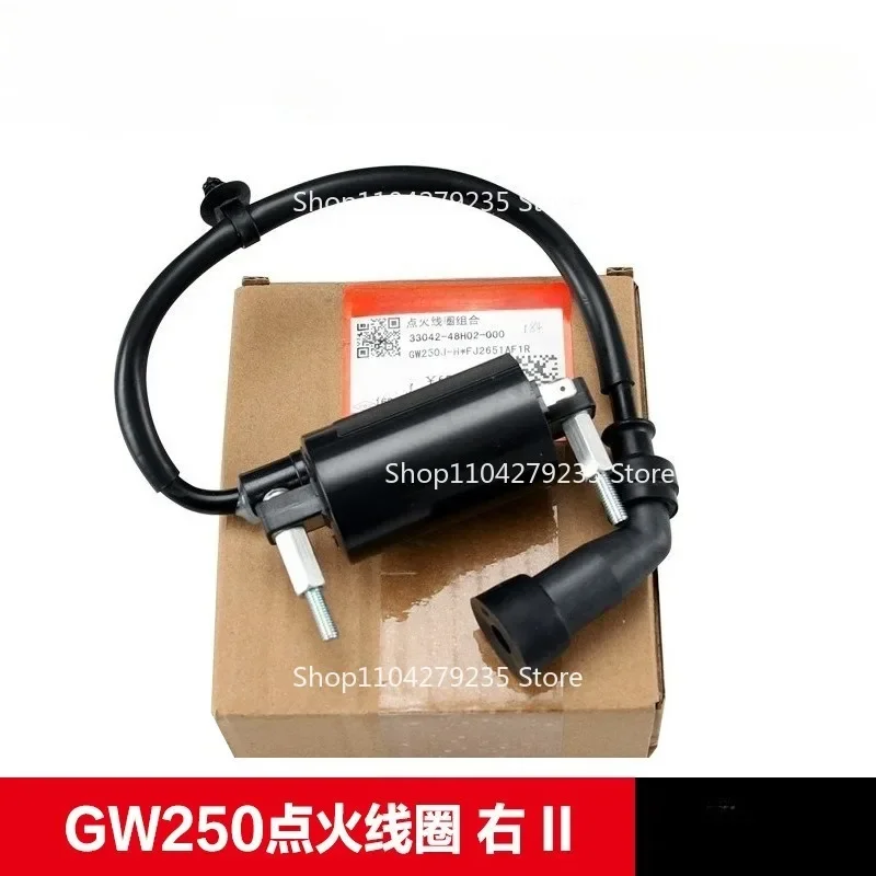 

Подходит для Haojue Original GSX250 GW DL250 DR300 Катушка зажигания Высоковольтный пакет Высоковольтный колпачок воспламенителя