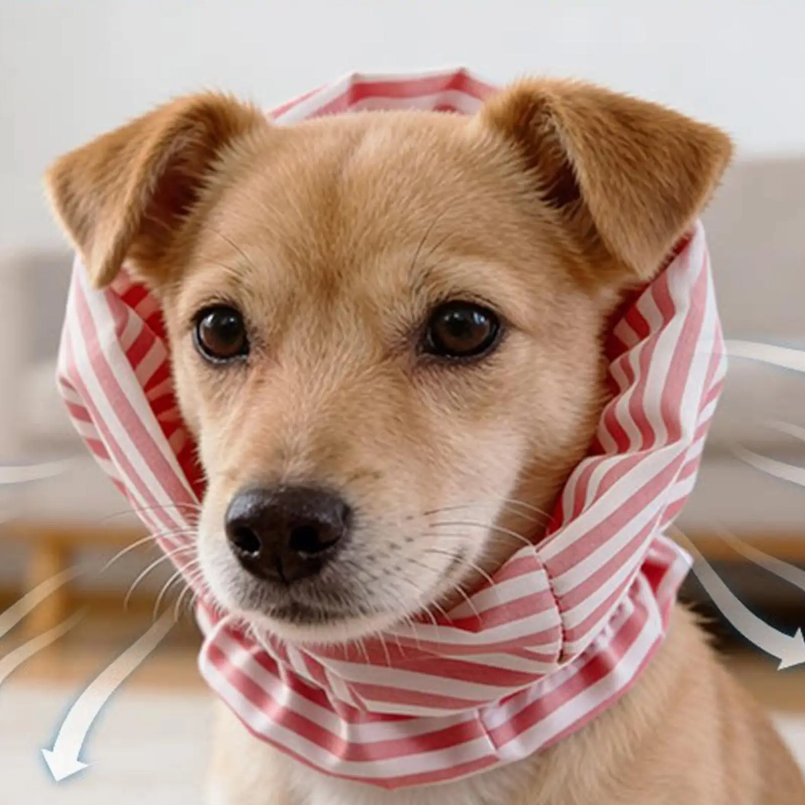 Multifunctional Pets Dog Earmuffs Windproof Pet Earmuff Noise Cancel Puppy Headband Comfortable Pet Scarf Cat Neck Protection