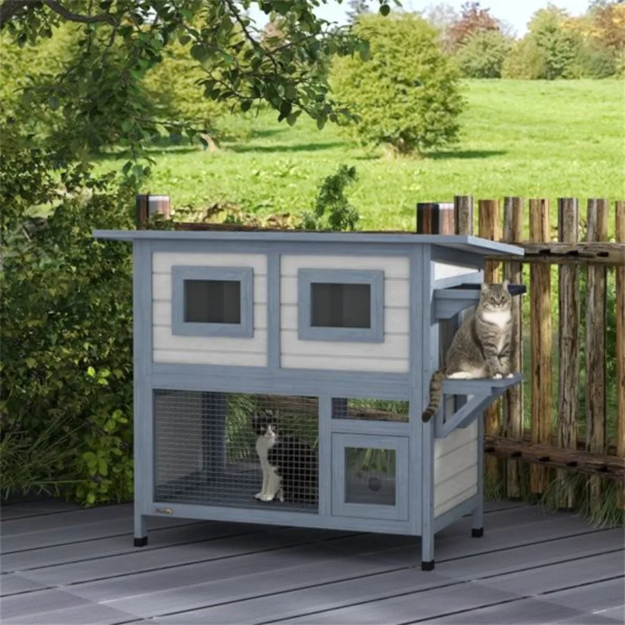 

Cat House SwishipShip (Prohibited by -)