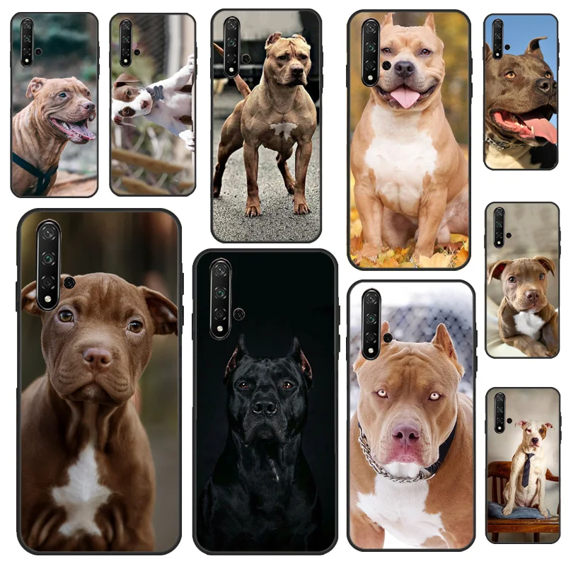 American Pitbull Te… - image