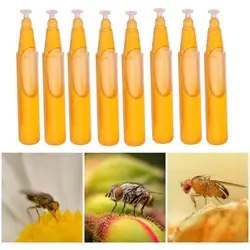 10pcs Fruit Fly Trap Killer 2ml Liquid Fruit Fly Killer Drosophila Trap Fly Catcher Liquid for Home Farm Orchard Trapping Tools