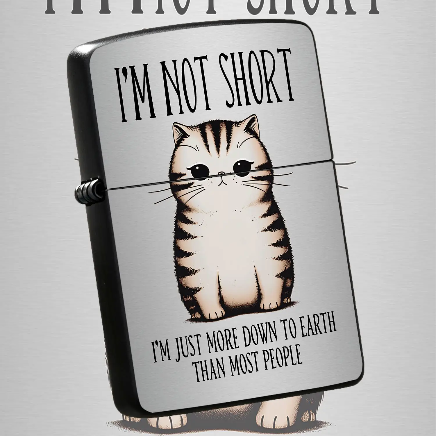 Cute Chubby Tabby Cat Lighter With Funny Slogan I'M Not Short I'M Just Down To Earth, Portable Trendy Cool Lighter For Daily Camping, Candle Lighting, Gifting To Friends Family On Birthday Holiday Casual Occasions A Humorous And Interesting