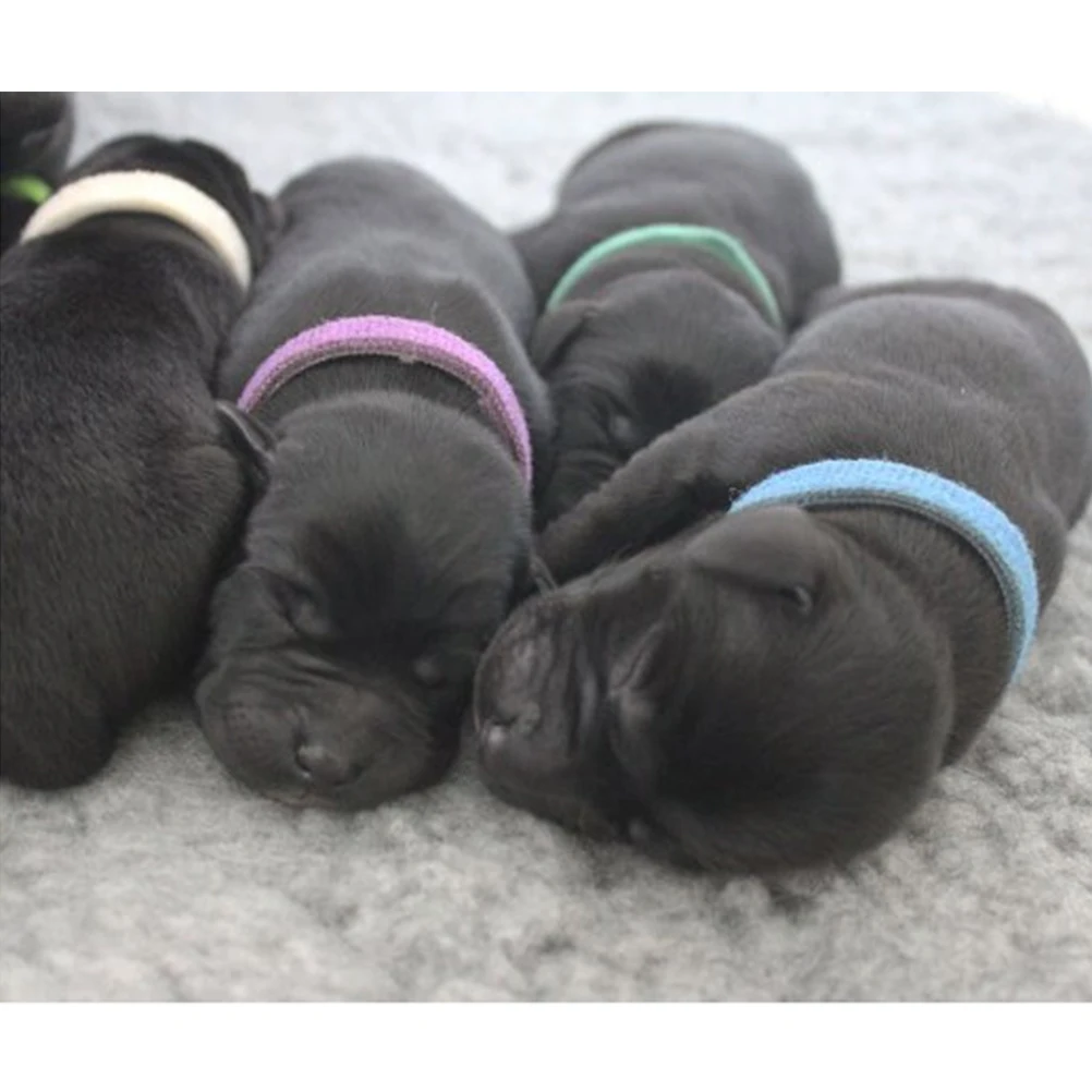 

12pcs 12 Different Colors Touch Collar Durable Nylon Pet Neck Ring For Dog Cat Christmas Snow Pattern Pet Supplies