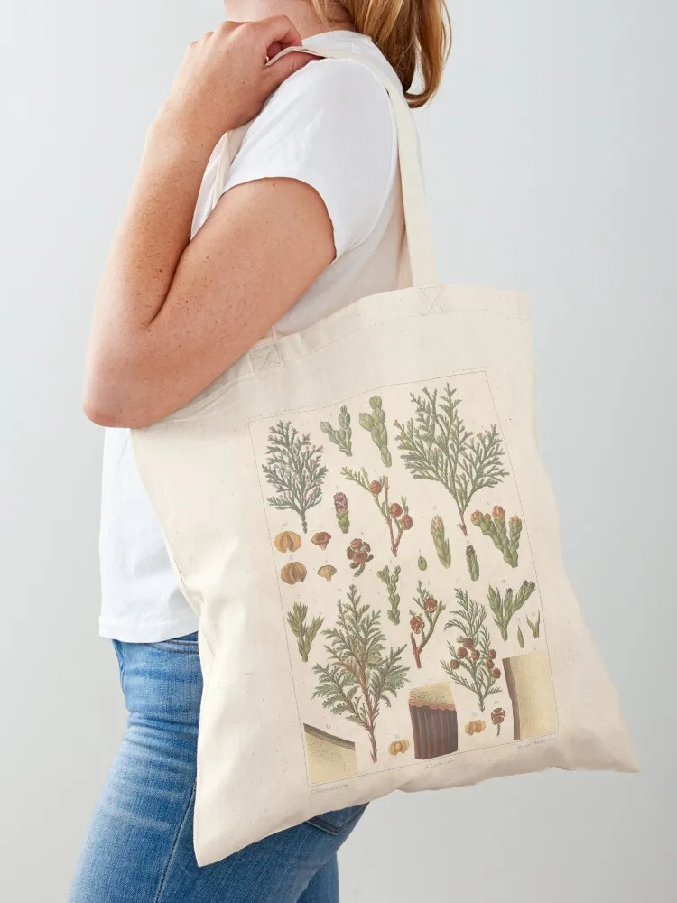 Botanical Cedar Tote Bag tote bag women shopping cart bags