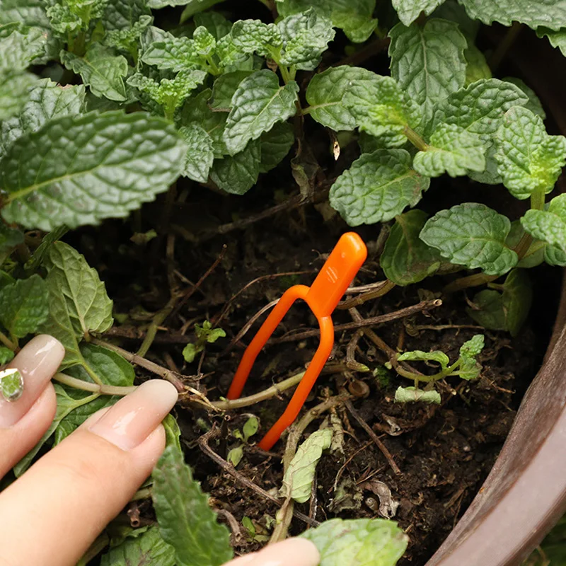 

100PCS Plant Stem Stolon Fixator Garden Strawberry Planting Fixture Fork Watermelon Agriculture Clamp Clip Support Tool