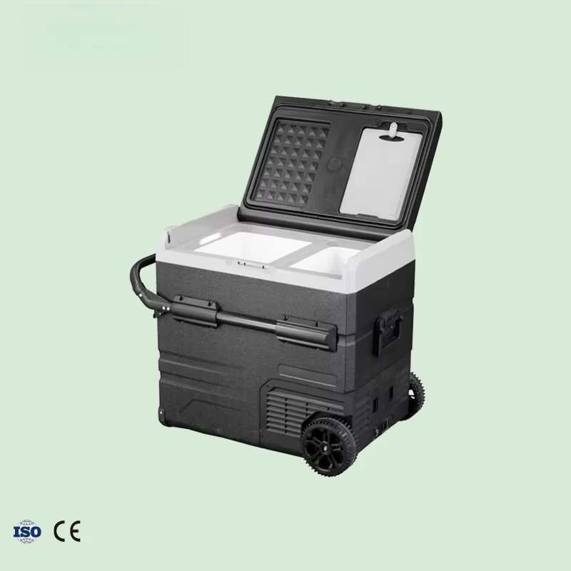 Portable Freezer 55L Box with Removable Door Competitive Price Mobile Cold Chain for Lab Supplies Refrigerator Equipment