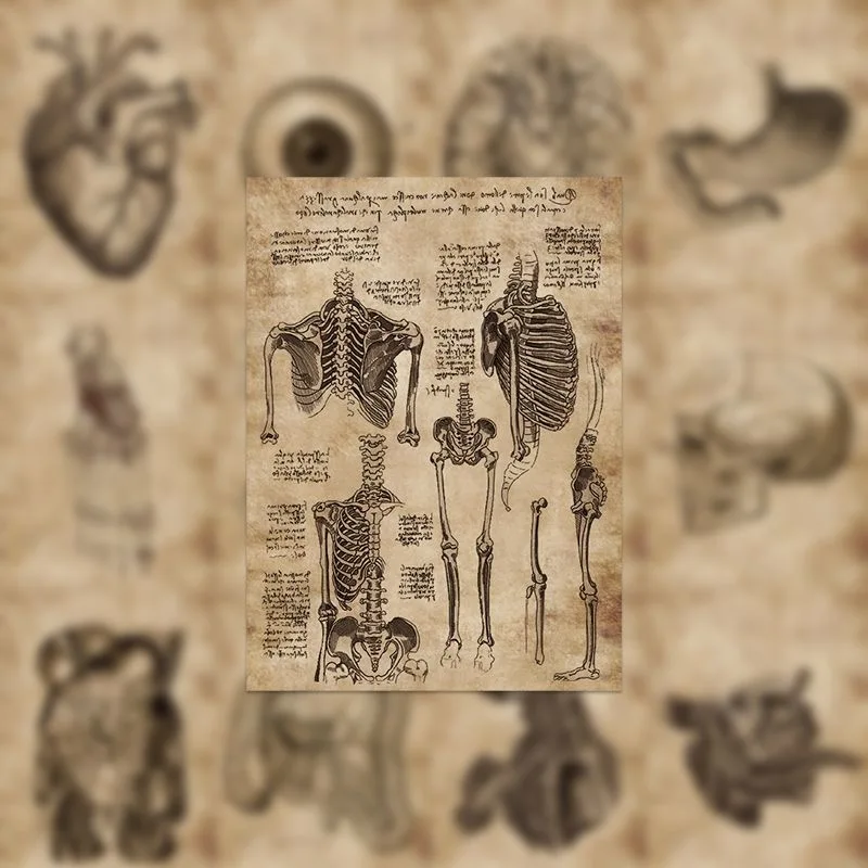 50pcs Vintage Medical Anatomy Stickers Set Retro Skeleton Organ Brain Heart for Scrapbooking Junk Journal Luggage Laptop