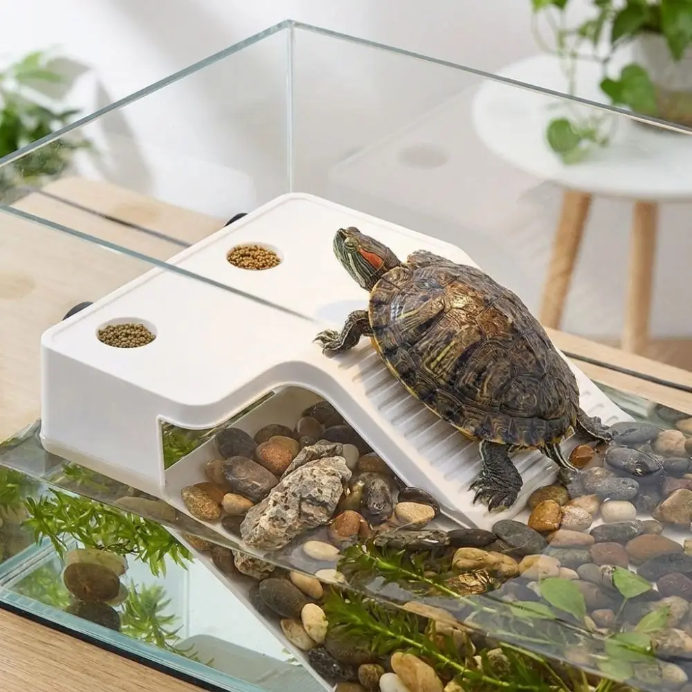Resting Platform Non-Slip Turtle Floating Platform Suction Cup Stable Turtle Climbing Slope Plastic Turtle Feeding Area Aquarium