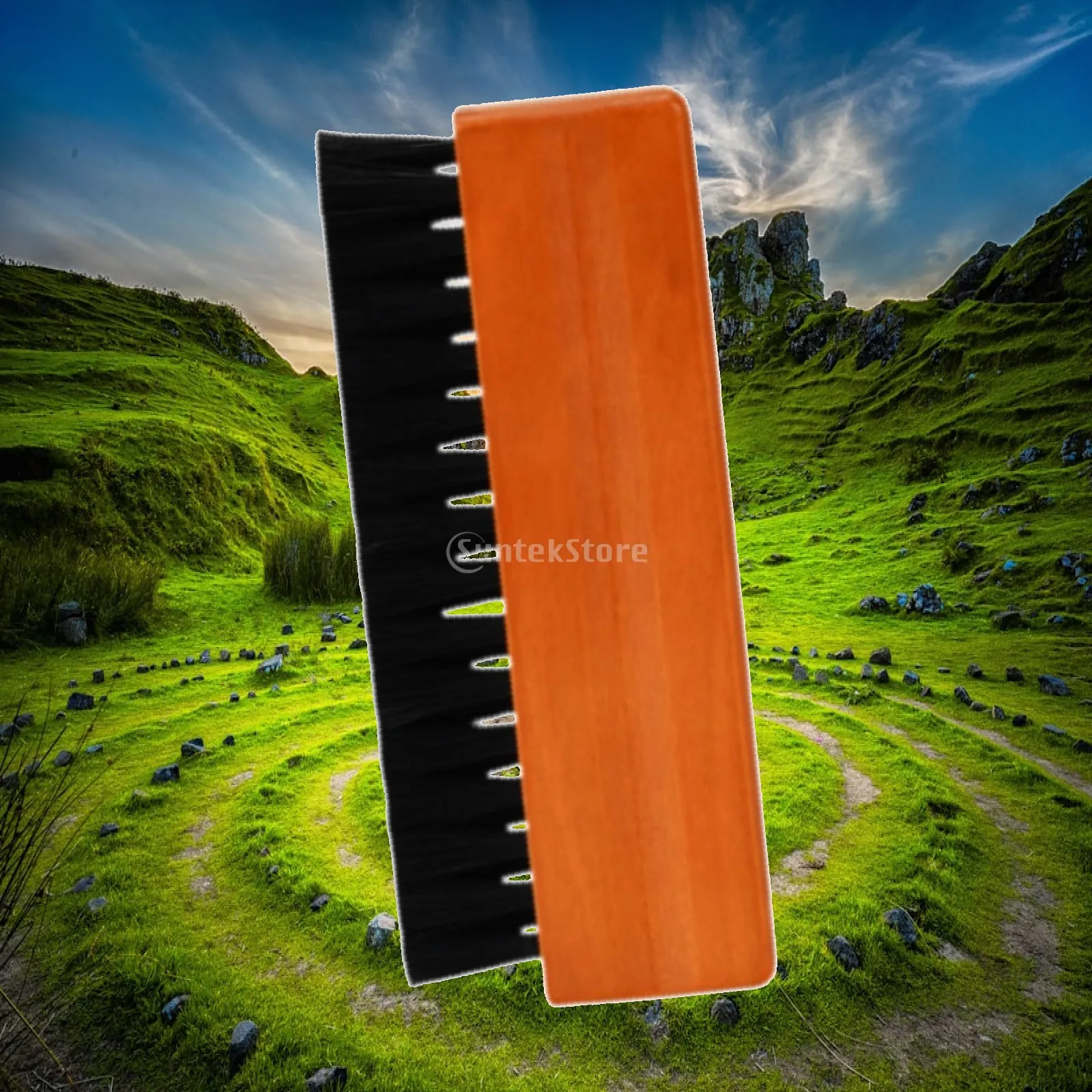 Anti Static Record Cleaning Brush for Vinyls Wood Handle Soft Bristle Nylon Wool Portable Cleaning Device for Turntable Record