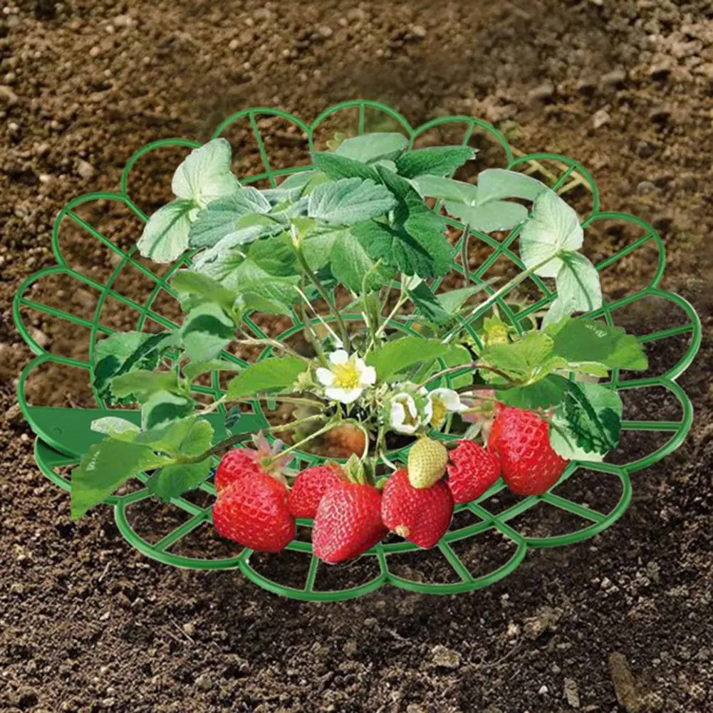 5/10PCS Round Strawberry Bracket Set Plastic Plant Strawberry Supports Stands Vegetable Growing Rack Balcony Gardening Tools