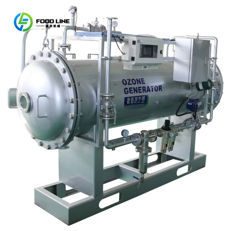 Customized Factory Water Treatment Equipment Ozone Generator Municipal Water Treatment and Reuse Water Purifier Ozone Generator