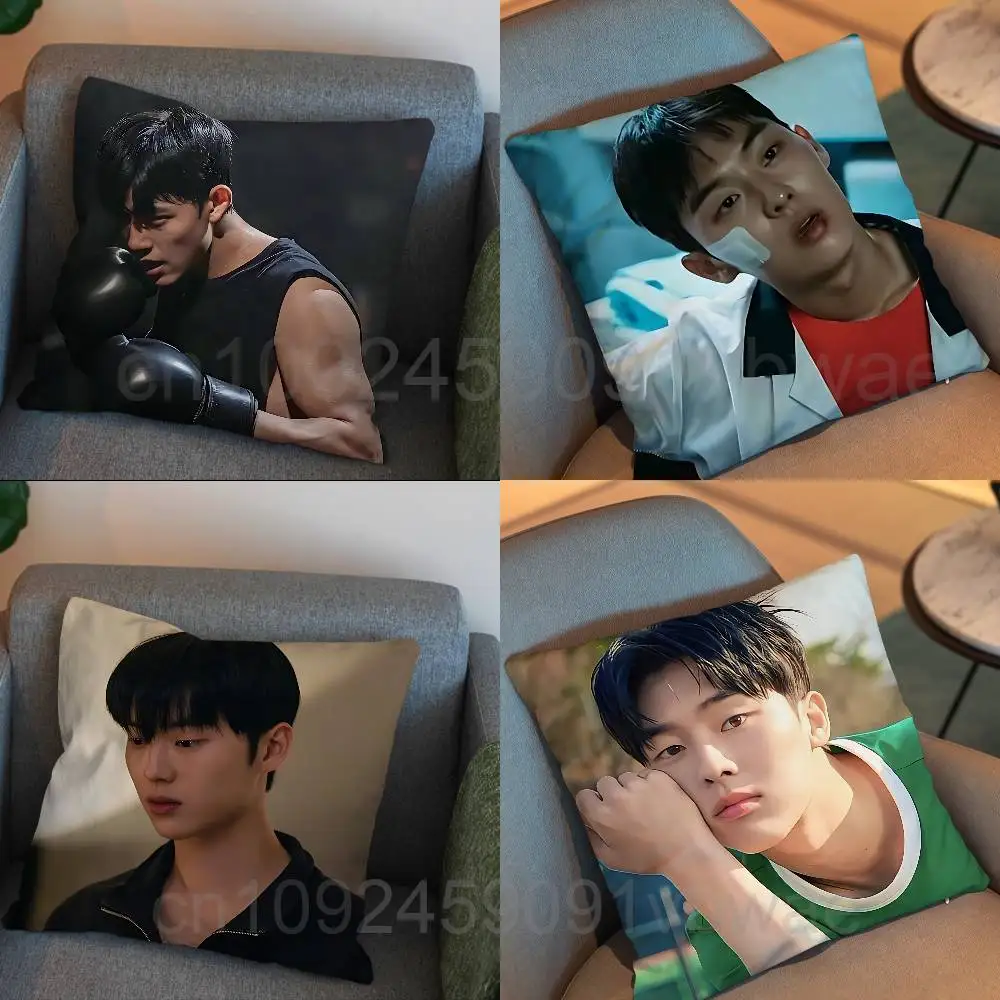 

cool WH C1 Choi Hyun-wook Print Throw Pillow Cover 45×45cm Square Cushion Case for Living Room Bedroom Decor