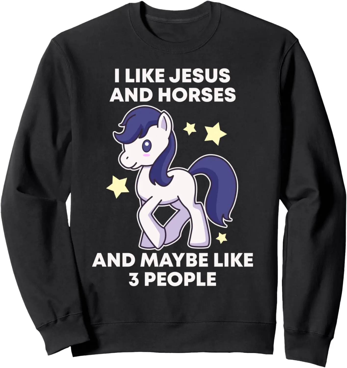 I Like Jesus And Horses And Maybe Like Three People Sweatshirt