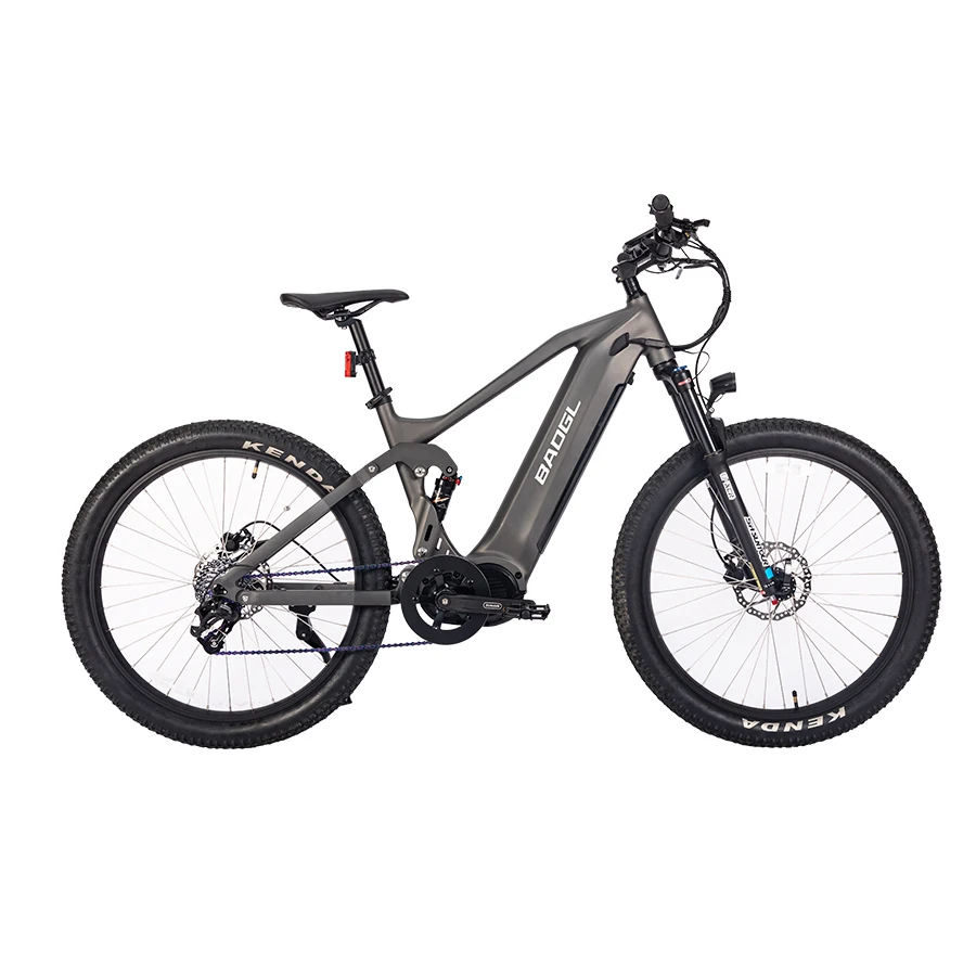 

48V 1000W New Style Electric Bicycle Ebike Moped Electric Bike With 48V 20AH Lithium Battery Bike