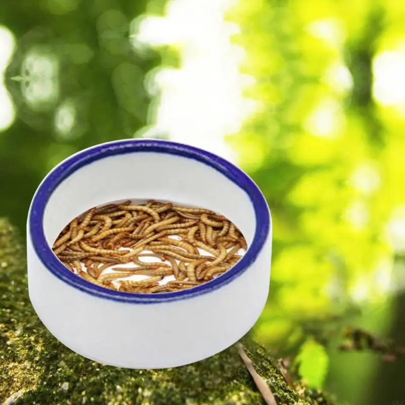 

G92C Bowl Worm Dish Ceramic Pet Bowls Mini Feeder Mealworms Bowl