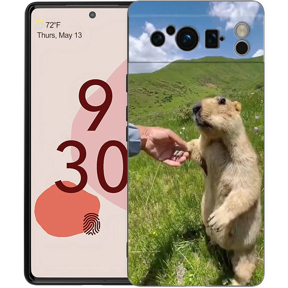 marmot Phone Case For Google Pixel 9 8 7 6 Pro XL 8A 6A 7A 5G Soft Shockproof TPU Black Cover Fundas