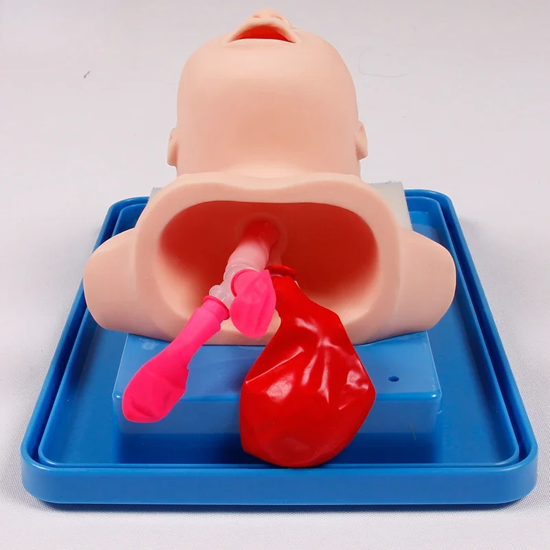 Newborn infant endotracheal intubation training model Oral, nasal and endotracheal intubation simulating lung inflation