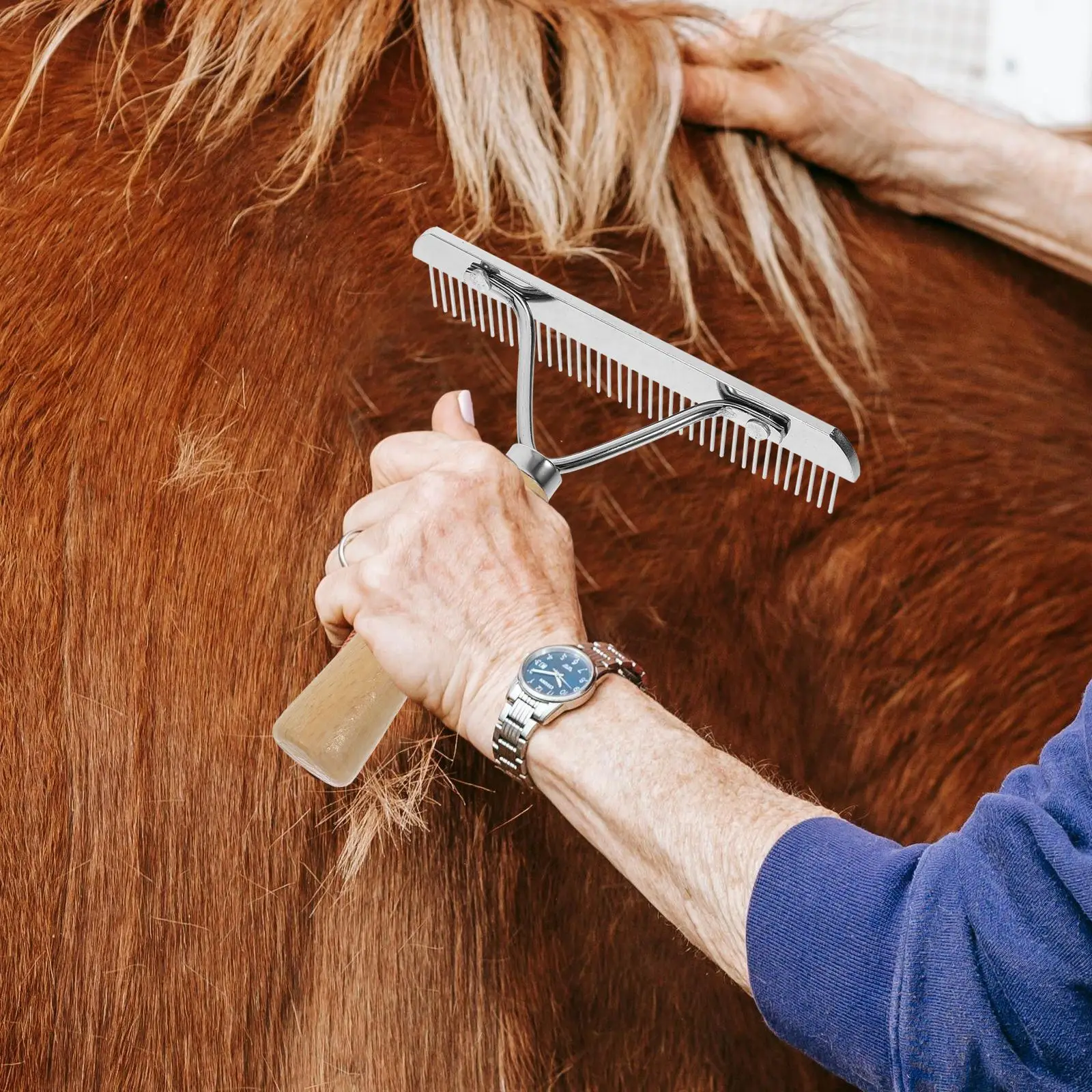 Metal Horse Hair Comb, Dematting Brush, Deshedding Tool, Limpeza Dog Rake Acessório