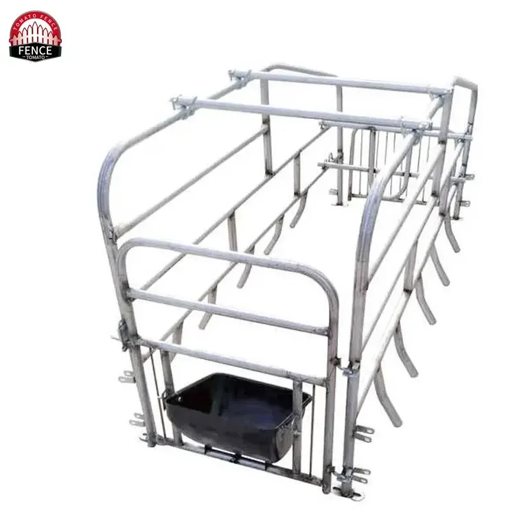 Cheap sow farrowing crate new design gestation stall Animal Cages Pig Cage