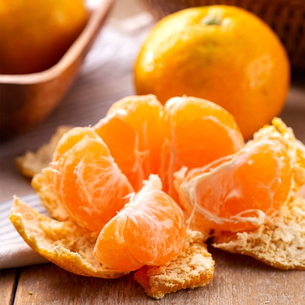 حلو وحامض، جيجو اليوسفي المنعش 4.5 كجم L-2L