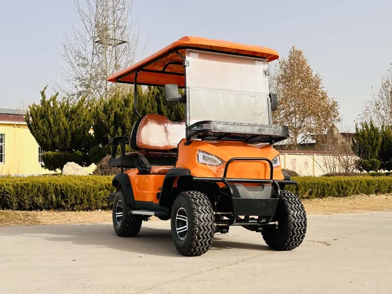 المصنع مباشرة عربة الغولف الكهربائية CE للبيع #6