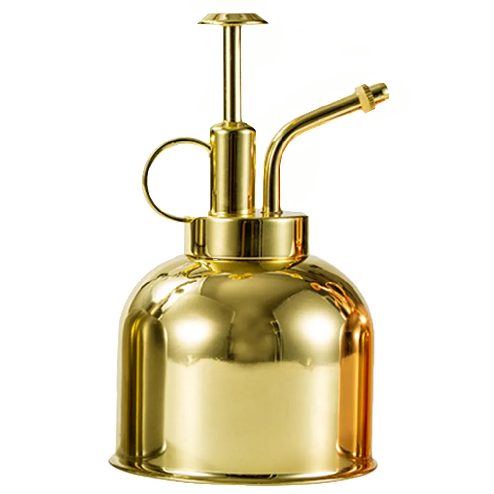 

1Pcs Retro Watering Can Stainless Steel Succulent Watering Bottle Small Spout for Precise Garden Irrigation Pump