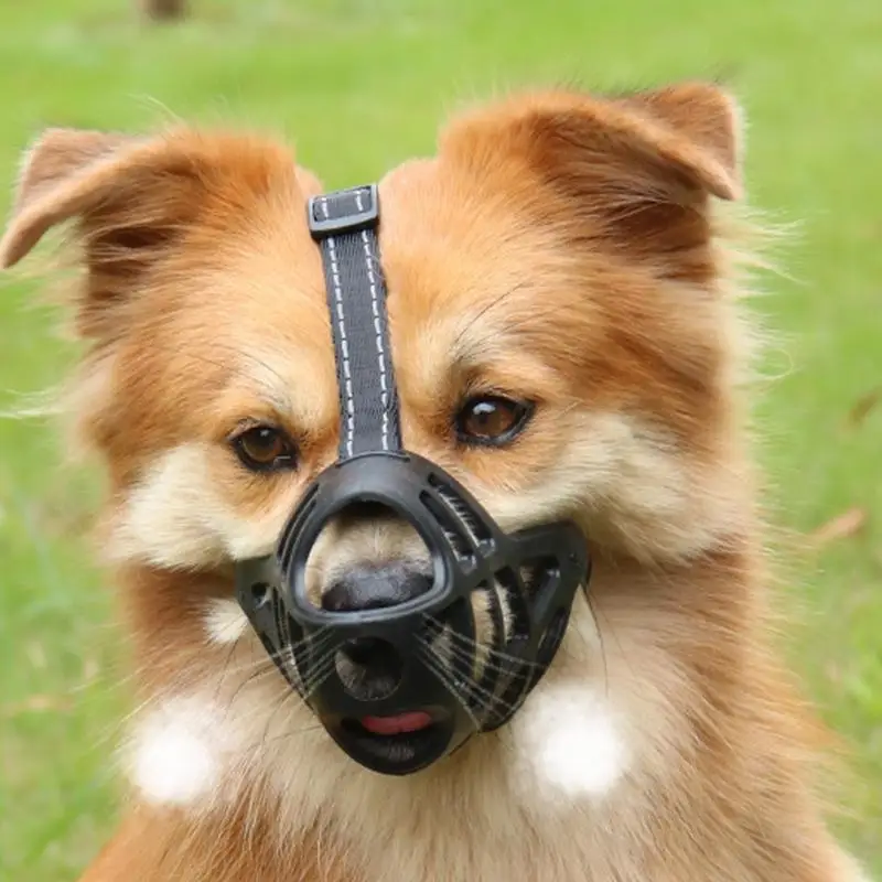 Cage Muzzles For Dogs Soft Adjustable Dog Mouth Guard Portable Cage Mouth Cover Black Dog Training Muzzle For Small Dogs Medium