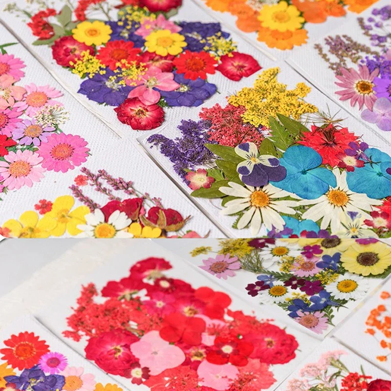 35PCS Set Dried Press Flowers Kit for DIY Resin Candle Mold Fiilings Natural Dries Flower Petal Nail Art Decorations