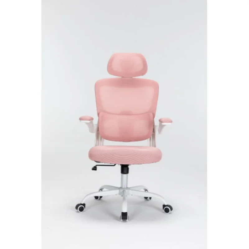 Mesh office chair with 3D adjustable lumbar support, administrative computer chair, home office rotating adult rolling chair