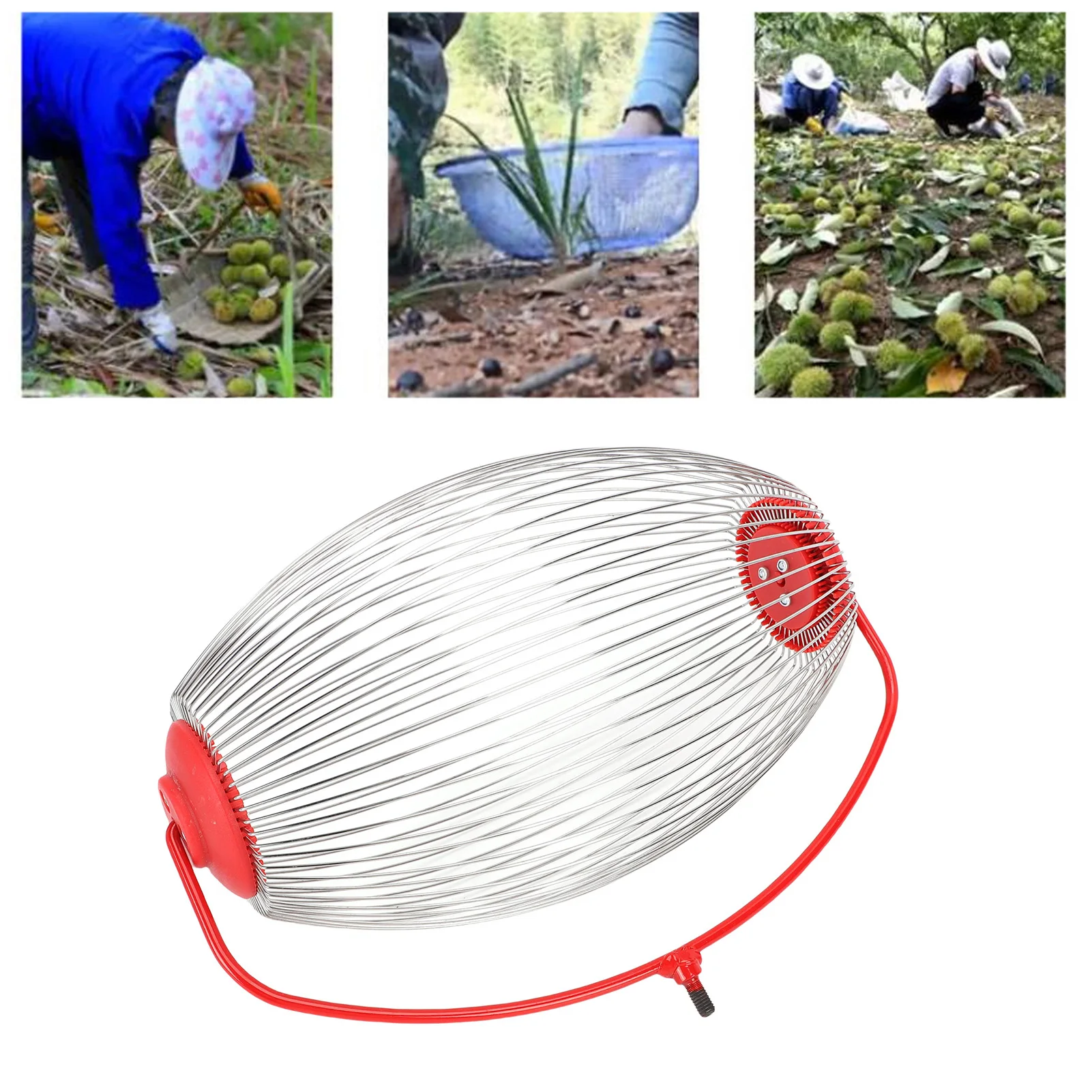 너트 수집기 스테인리스 스틸 와이어 너트 수집기 롤러 과일 수집기 장난감 공 도토리 피칸용