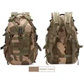 Desert Camo