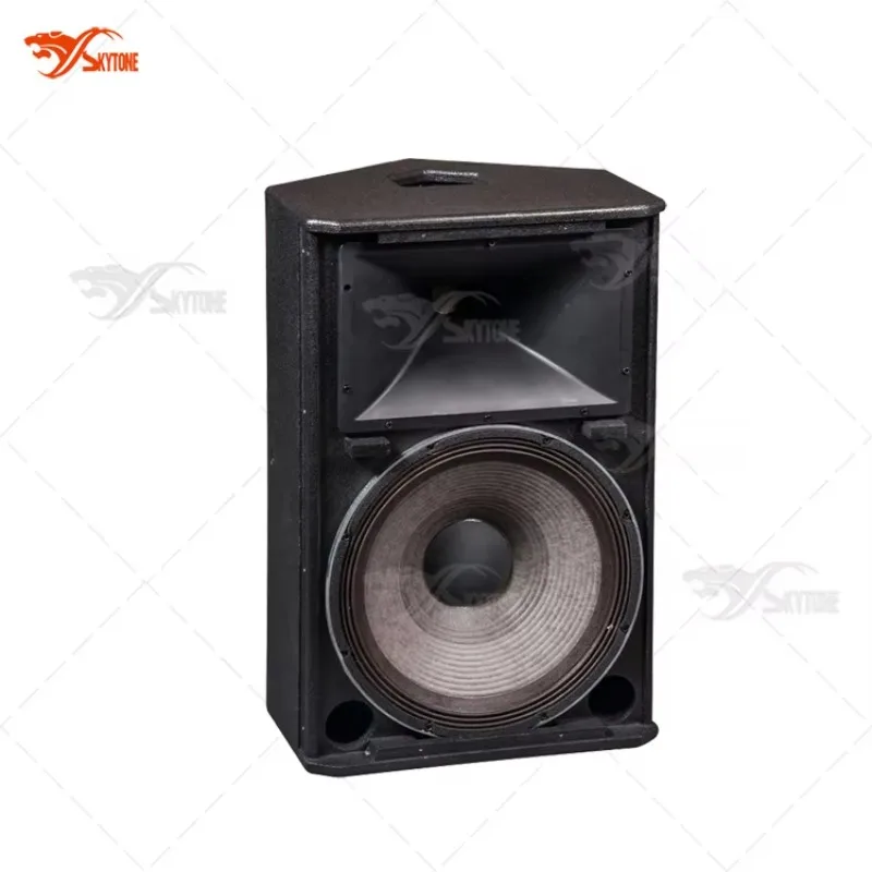 

Pro Audio 15inch Professional Dj Sound Speaker System for Sale One Piece
