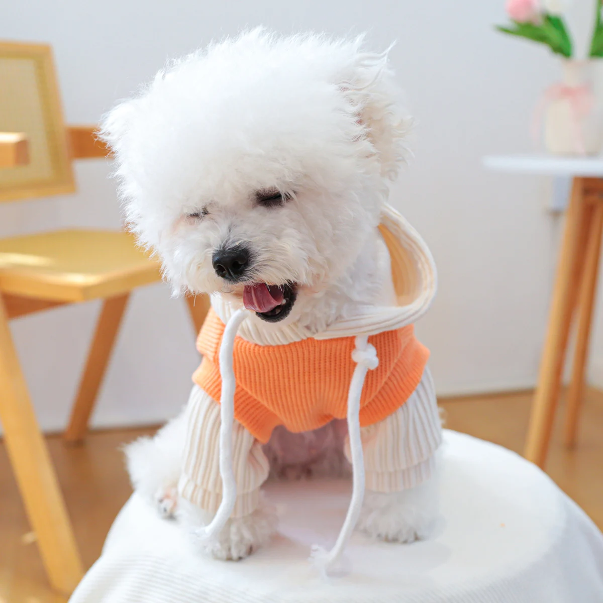 1PC Pet Clothing Cat Spring and Autumn Orange Planet Hoodie Hat Coat Suitable for Small and Medium sized Dogs