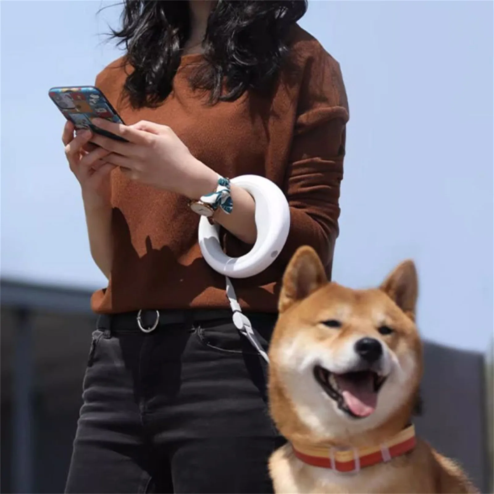

Moestor Automatic Retractable Dog Leash Medium And Large Dogs Small Dog Leash Dog Leash Out Walking The Dog Portable