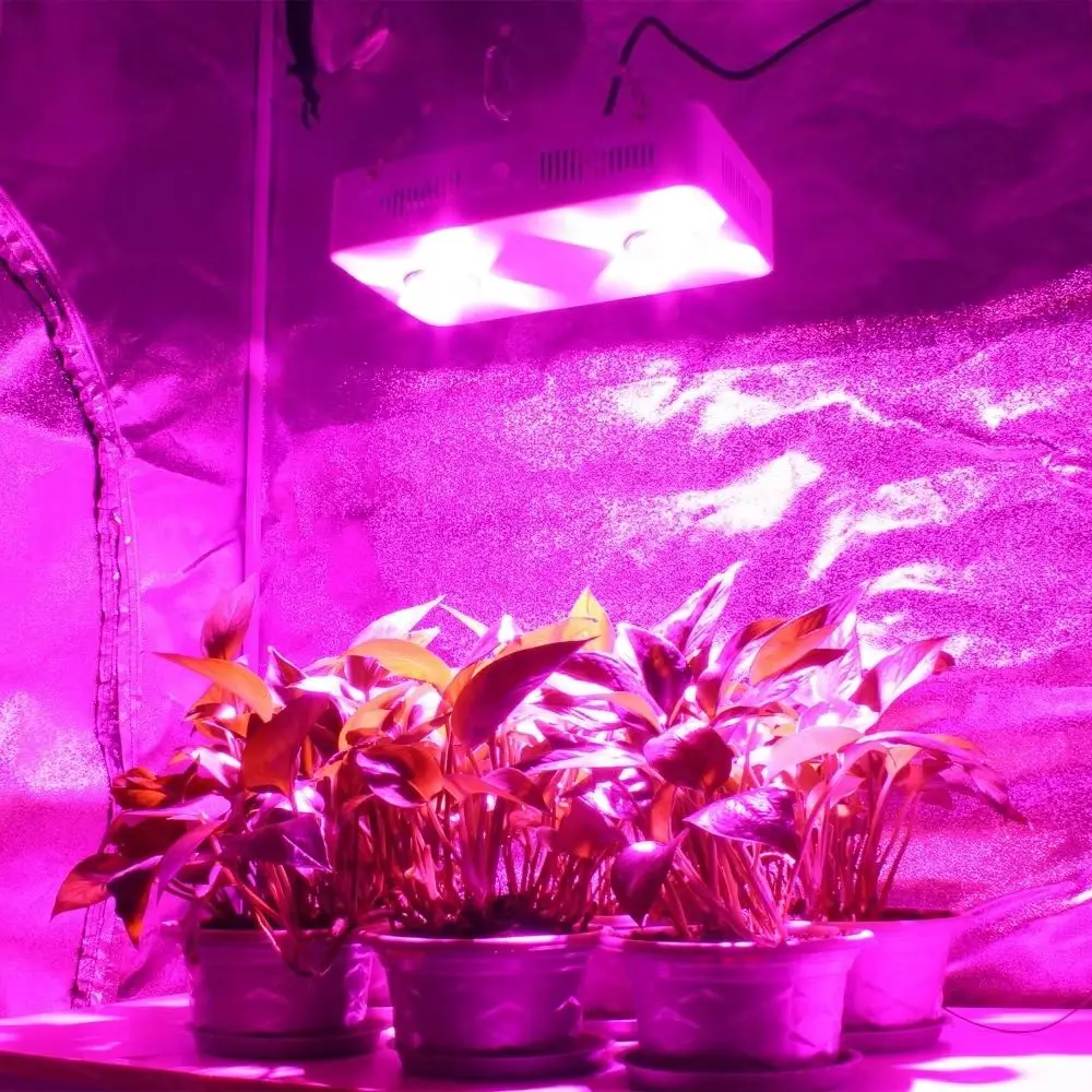 300W CF Grow COB LED Grow Light Full Spectrum Indoor Hydroponic Greenhouse Plant Growth Lighting Replace UFO Growing Lamp